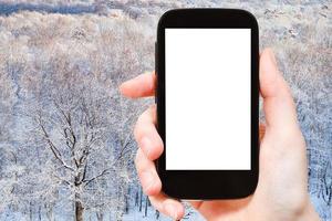 photographies touristiques forêt de chênes gelés en hiver photo