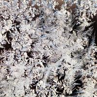 flocons de neige et motif de givre sur le verre se bouchent photo