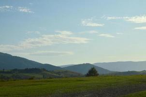 photo des montagnes des carpates, qui ont beaucoup de conifères. prairies de paysage de forêt et de montagne au début de la saison d'automne