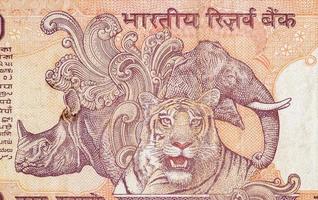 rhinocéros éléphant et tigre représentés sur un billet de banque indien de dix roupies. 10 roupies monnaie nationale de l'inde inr photo