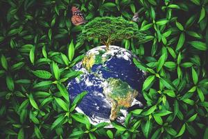 concept d'image de fond nature. concept d'émissions nettes nulles. aimer la terre, sauver l'environnement photo