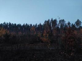 panorama matin et soir de l'aube photo