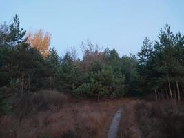 panorama matin et soir de l'aube photo