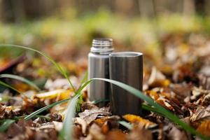 le thermos en acier avec une tasse de thé chaud sur la forêt d'automne est flou. photo