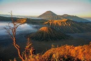 Volcan Bromo en Indonésie photo