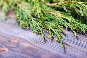 sapin sur fond de bois espace pour le lettrage photo