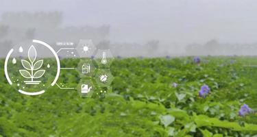 technologie agricole agriculteur homme utilisant une tablette concept de technologie moderne agriculture. photo
