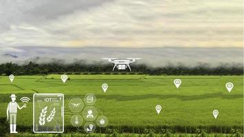 un drone agricole vole vers des engrais pulvérisés sur les rizières. agriculture industrielle et agriculture intelligente photo