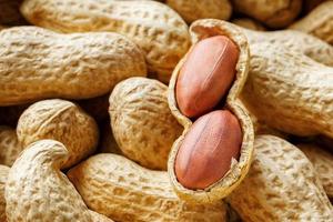 gros plan de cacahuètes pelées de haricots dans la coque. cacahuètes non pelées en coque. cacahuètes, pour le fond ou la texture. faire pousser des protéines organiques photo