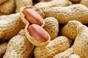 gros plan de cacahuètes pelées de haricots dans la coque. cacahuètes non pelées en coque. cacahuètes, pour le fond ou la texture. faire pousser des protéines organiques photo