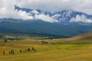 vue panoramique sur la chaîne enneigée du nord-chuya dans les montagnes de l'altaï en été, sibérie, russie photo