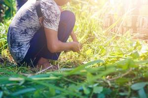 un agriculteur coupant les mauvaises herbes avec une faucille photo