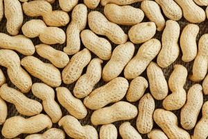 cacahuètes dans leur fond de nourriture texturé coquille. photo
