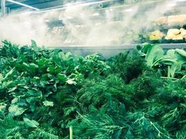 vert frais verts respectueux de l'environnement des plantes de persil salade d'aneth roquette oignons et autres aliments végétaux se trouve dans un réfrigérateur moderne dans un supermarché sur le comptoir. l'arrière-plan photo