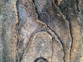 ornement en pierre sous la forme d'un arbre coupé en ciment tourné dans la place du jardin photo
