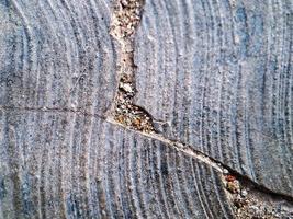 texture de mur en béton fond de ciment grossier gris à l'intérieur blanc pour l'édition de texte présent dans l'espace libre toile de fond photo