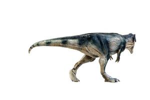 dinosaure , giganotosaurus sur un tracé de détourage d'arrière-plan isolé photo