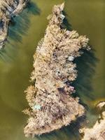 vue d'oiseau sur une oasis de paix photo