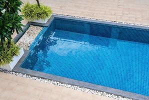 piscine avec vue jardin. photo