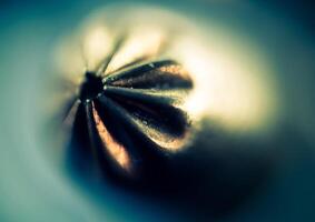 super macro de balle photo