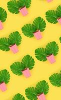 les feuilles de palmier tropical monstera se trouvent dans des seaux pastel sur un fond coloré. motif minimal tendance à plat. vue de dessus photo