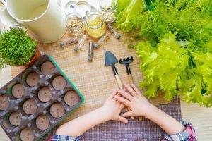 les pots de tourbe, les outils et le sol sont prêts pour planter des graines. faire pousser des semis pour le jardinage. mise à plat avec des mains de bébé photo