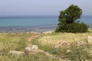 route piétonne dans le parc de la ville au bord de la mer. photo