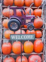 joliment décoré avec des citrouilles étagères en bois vitrine boutique ou café photo