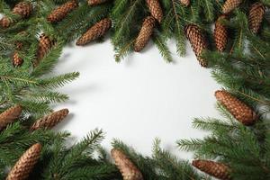 carte de voeux joyeux noël et joyeuses fêtes, cadre, bannière. nouvel An. branches de pin sur blanc. photo