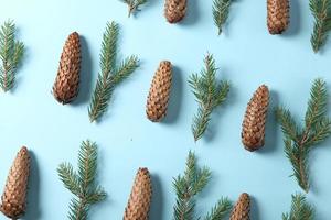 carte de voeux joyeux noël et joyeuses fêtes, cadre, bannière. nouvel An. branches de pin sur blanc. photo