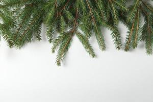 carte de voeux joyeux noël et joyeuses fêtes, cadre, bannière. nouvel An. branches de pin sur blanc. photo