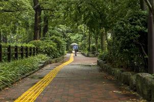 homme avec parapluie au parc à tokyo.