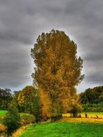 temps d'automne à legden allemagne photo