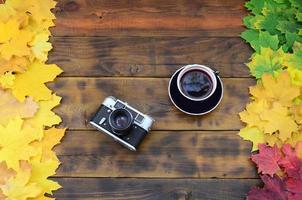 une tasse de thé et un vieil appareil photo parmi un ensemble de feuilles d'automne tombées jaunissantes sur une surface de fond de planches en bois naturel de couleur marron foncé