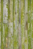 texture de mur en bois photo