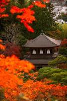 ginkaku-ji, temple du pavillon d'argent ou officiellement nommé jisho-ji, ou temple de la miséricorde brillante, un temple zen dans le quartier sakyo de kyoto, kansai, japon