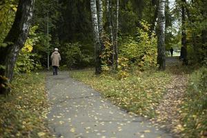 chemin dans le parc. une vieille femme se promène dans le parc à l'automne. deux chemins dans un parc avec des gens. photo