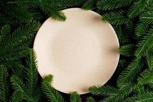 vue de dessus d'une assiette festive ronde sur fond de sapin. concept de plat de noël avec un espace vide pour votre conception photo