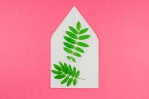 lettre blanche maquette avec des feuilles vertes fraîches photo