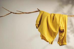 notion de vêtements. les femmes portent accrochées à une branche d'arbre séchée. ombrage d'ombre sur le mur blanc photo