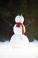 bonhomme de neige traditionnel