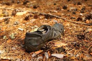 Russie, Sibérie. vieille chaussure sur une herbe dans une forêt. photo