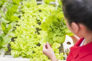 une belle biotechnologiste asiatique recueille des feuilles de laitue pour la recherche avec du brocoli dans une ferme biologique. produits de bonne qualité. n'oubliez pas de planter des plantes. notion de jour de la terre. photo