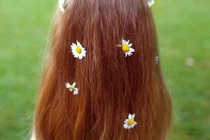 cheveux rouges sains sur un fond d'herbe verte avec des fleurs de camomille photo