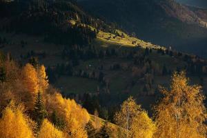 un charmant paysage de montagne dans les montagnes de bucegi, carpates, roumanie. nature d'automne à moeciu de sus, transylvanie photo