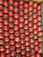 fond de tomates cerises dans une boîte prête à être livrée au marché photo