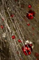 superbe spray d'ornements de boule de noël argent métallique et rouge photo