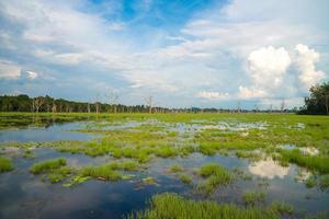 le magnifique paysage dans la région de neak pean temple, siem reap, cambodge. photo