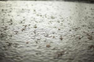 gouttes de pluie. pluie et flaque d'eau. éclabousse sur l'eau. mauvais temps. photo