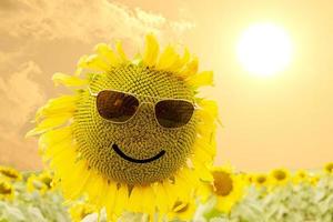 tournesol avec lunettes de soleil et sourire au lever du soleil photo